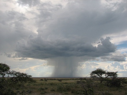 Een bui in de verte. Bij wisselvallig weer zijn er niet alleen stapelwolken maar ook droge perioden met zon. (foto: onbekend)