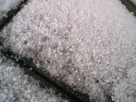 Korrelsneeuw (foto: onbekend)