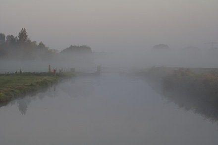 Mist (foto: M. Gosselink)