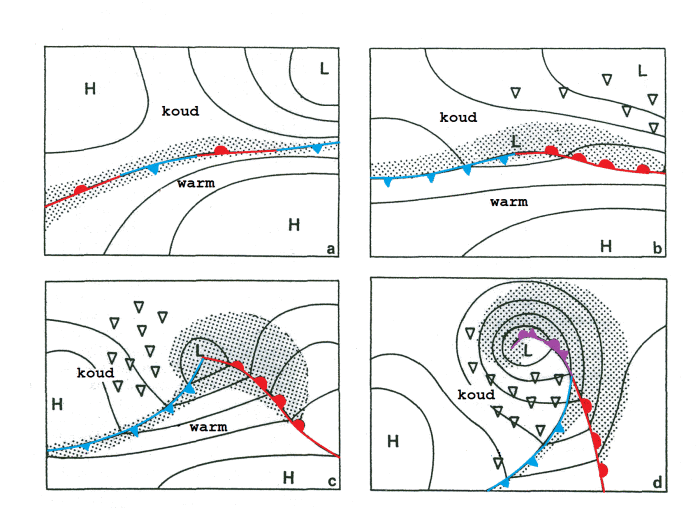 Toont de ontwikkeling van een lagedrukgebied start langs een stationair front. Geleidelijk wordt de lagedrukkern dieper en tekenen het kou- en warmfront zich duidelijk af. In de eindfase ontstaat het occlusiefront.