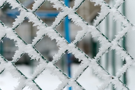 Rijp (foto: Aviavlad)