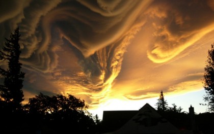 Asperatus
