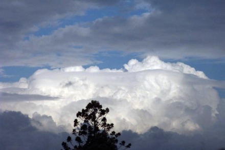 Cumulonimbus calvus velum (foto: D. Ellem)