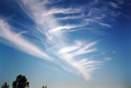 Cirrus fibratus