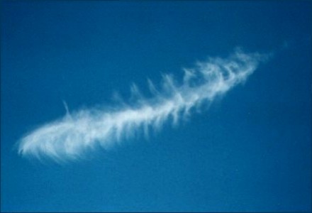 Cirrus fibratus vertebratus (foto: B. MÃÂ¼hr)