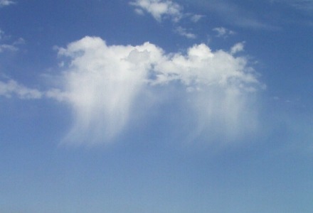 Cumulus humilis virga - De neerslag verdampt, lang voor de grond wordt bereikt. (foto: onbekend)