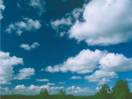 Cumulus mediocris (foto: J. Baartse)