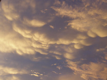 Cumulonimbus mammatus (foto: onbekend)
