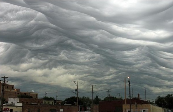 Asperatus (foto: Jane Wiggins)